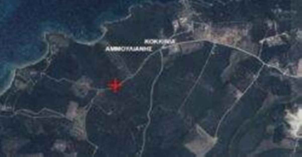Αμμουλιανή Χαλκιδικής. Πώληση Αγροτεμαχίου 8.500 Μ2.