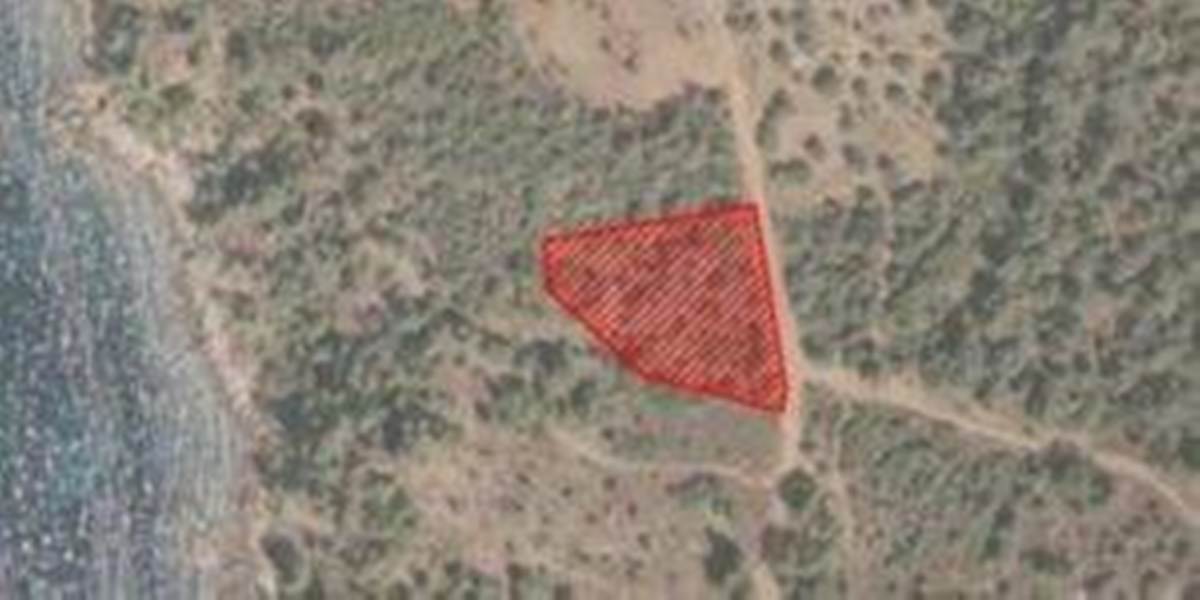 Αστρίδα Θάσου. Πώληση αγροτεμαχίου 2.514 Μ2. ΕΥΚΑΙΡΙΑ.