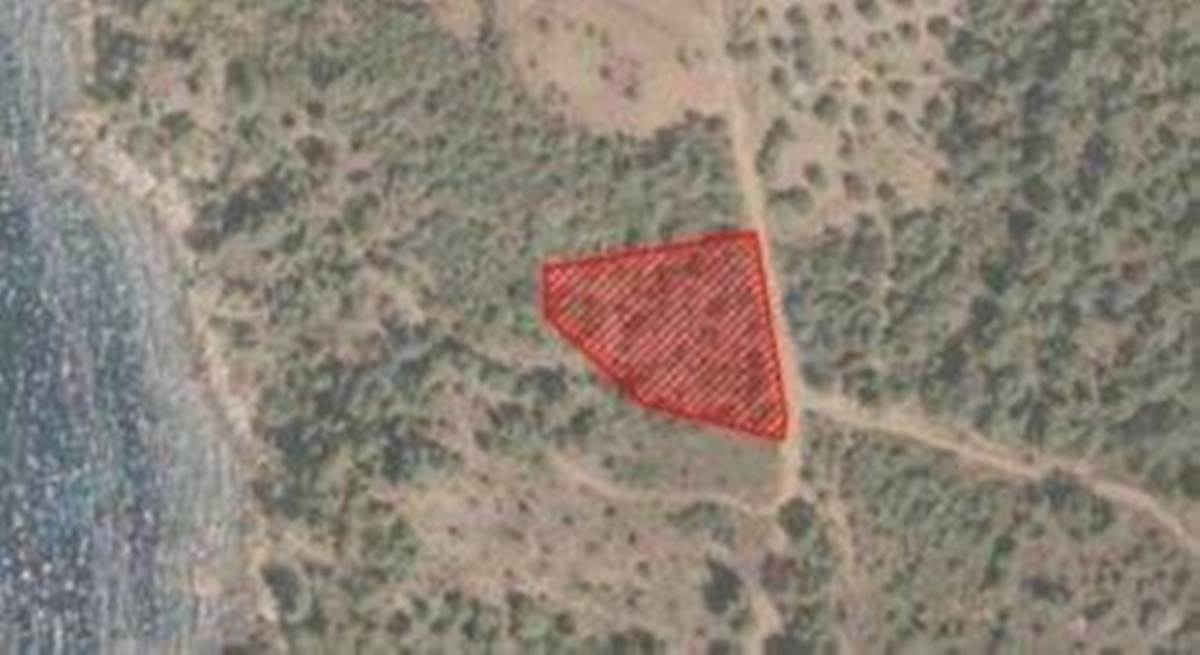 Αστρίδα Θάσου. Πώληση αγροτεμαχίου 2.514 Μ2. ΕΥΚΑΙΡΙΑ.