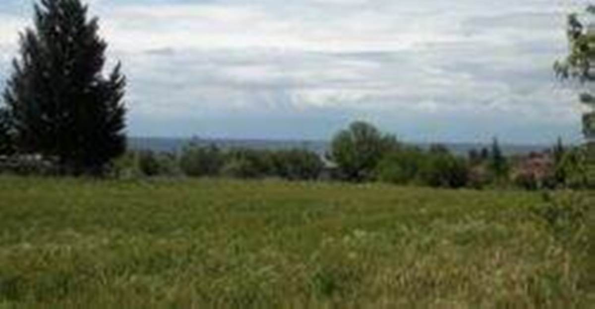 Νέα Ηράκλεια Χαλκιδικής. Πώληση Οικοπέδου 5.000 μ2.