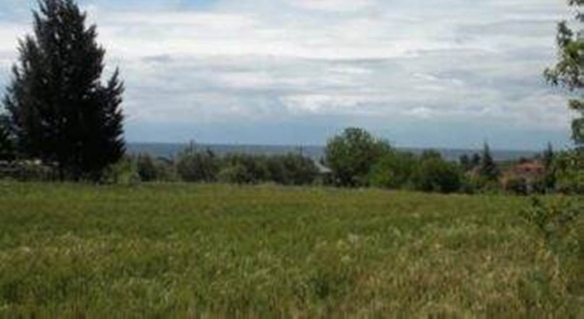 Νέα Ηράκλεια Χαλκιδικής. Πώληση Οικοπέδου 5.000 μ2.