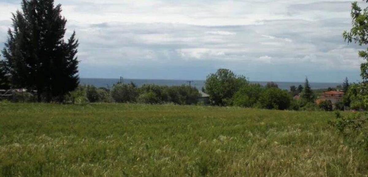 Νέα Ηράκλεια Χαλκιδικής. Πώληση Οικοπέδου 5.000 μ2.