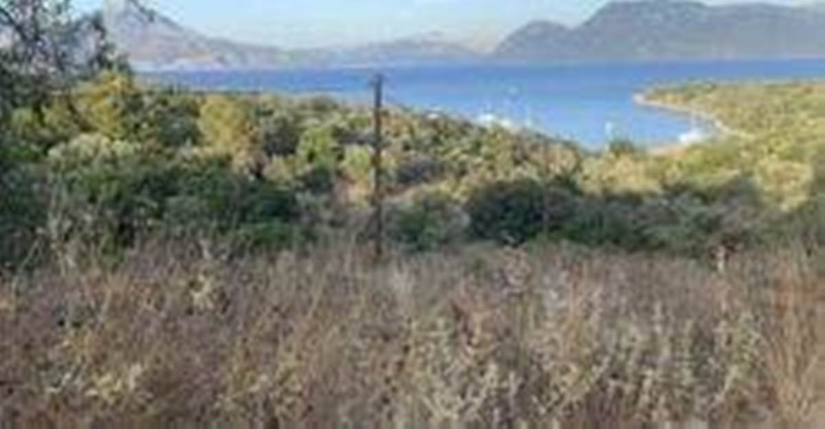 Μεγανήσι Λευκάδα. Πώληση Αγροτεμαχίου 28.000 Μ2.