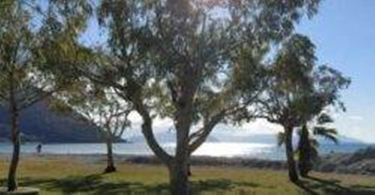 Βασιλική Λευκάδας. Πώληση Οικοπέδου 4.000 Μ2.