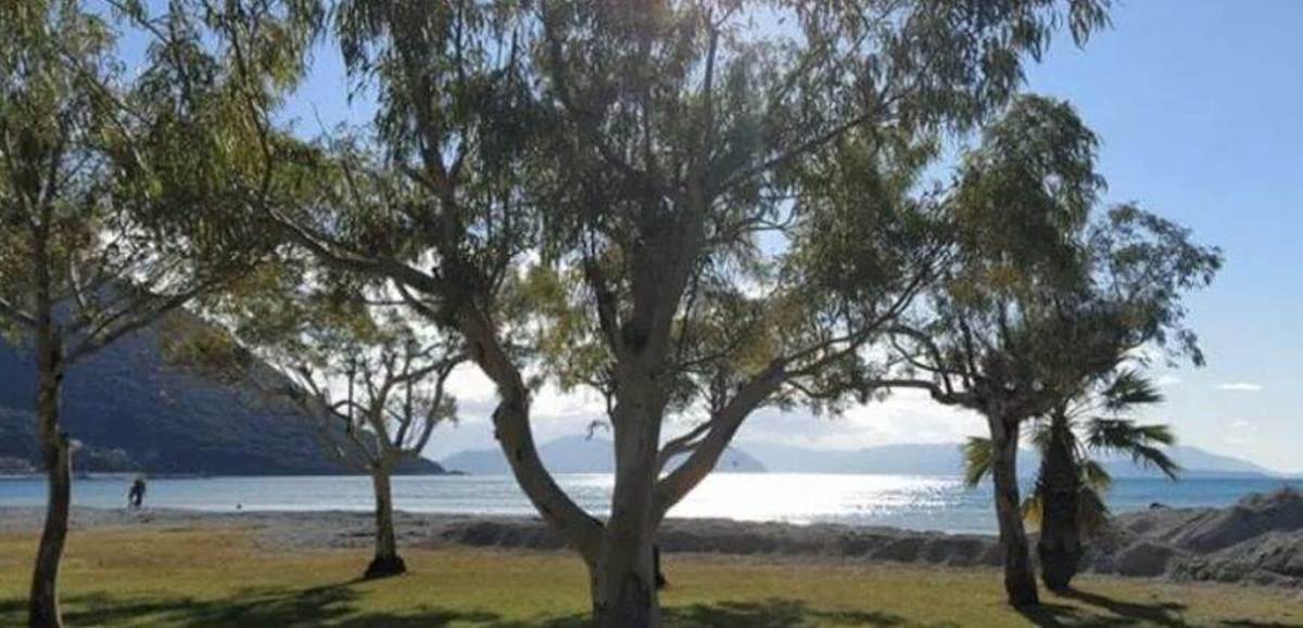 Βασιλική Λευκάδας. Πώληση Οικοπέδου 4.000 Μ2.