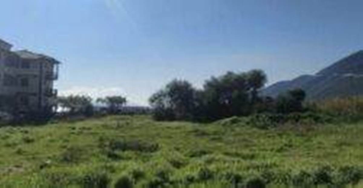 Βασιλική Λευκάδας. Πώληση Οικοπέδου 4.000 Μ2.