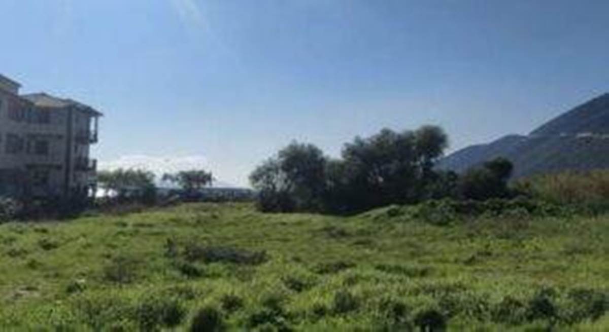 Βασιλική Λευκάδας. Πώληση Οικοπέδου 4.000 Μ2.