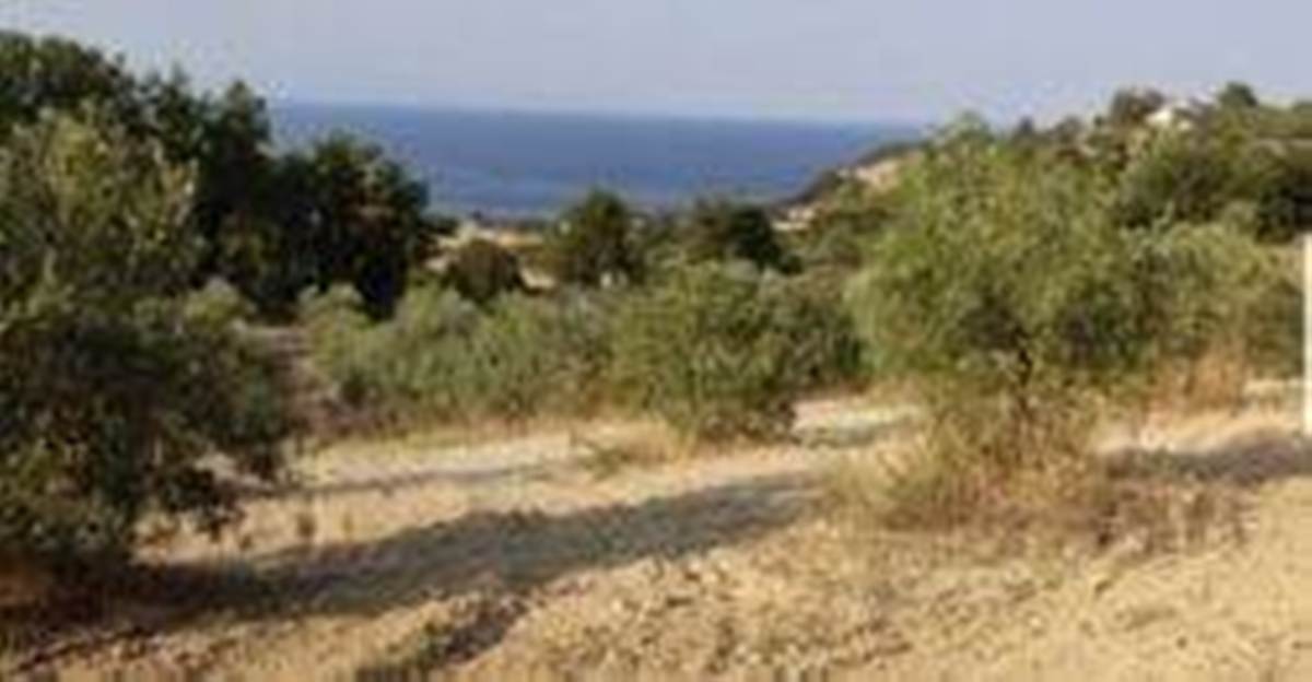 Ιερισσός Χαλκιδικής. Πώληση Αγροτεμαχίου 10.000 Μ2.