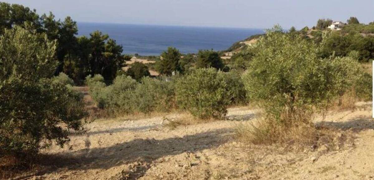 Ιερισσός Χαλκιδικής. Πώληση Αγροτεμαχίου 10.000 Μ2.