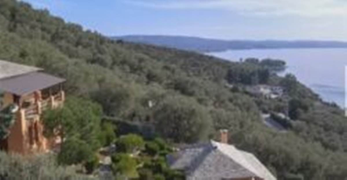 Πήλιο. Πώληση 2 Βίλες  80 + 175 Μ2.