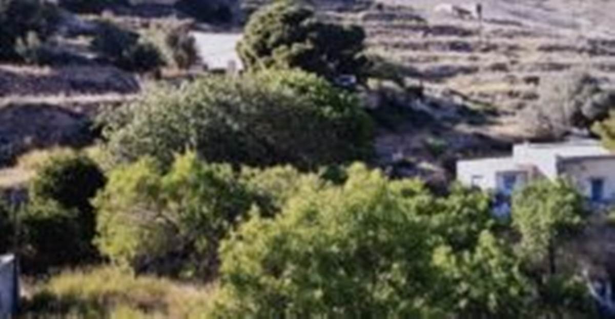 Σύρος Ερμούπολη. Πώληση Αγροτεμαχίου 12.650 Μ2.