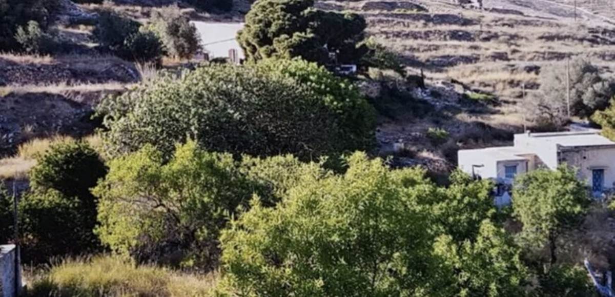 Σύρος Ερμούπολη. Πώληση Αγροτεμαχίου 12.650 Μ2.