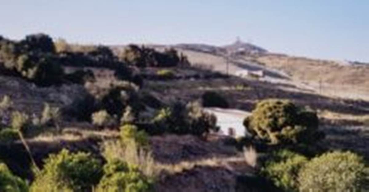 Σύρος Ερμούπολη. Πώληση Αγροτεμαχίου 12.650 Μ2.