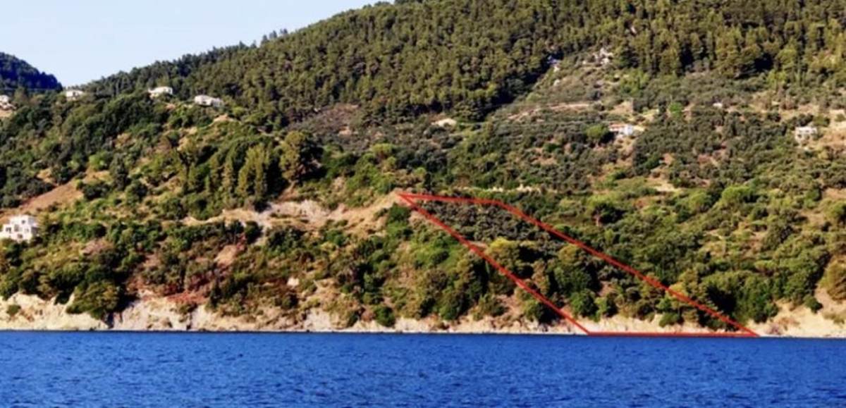 Σκόπελος Κλίμα . Πώληση οικοπέδου 4.200 Μ2.