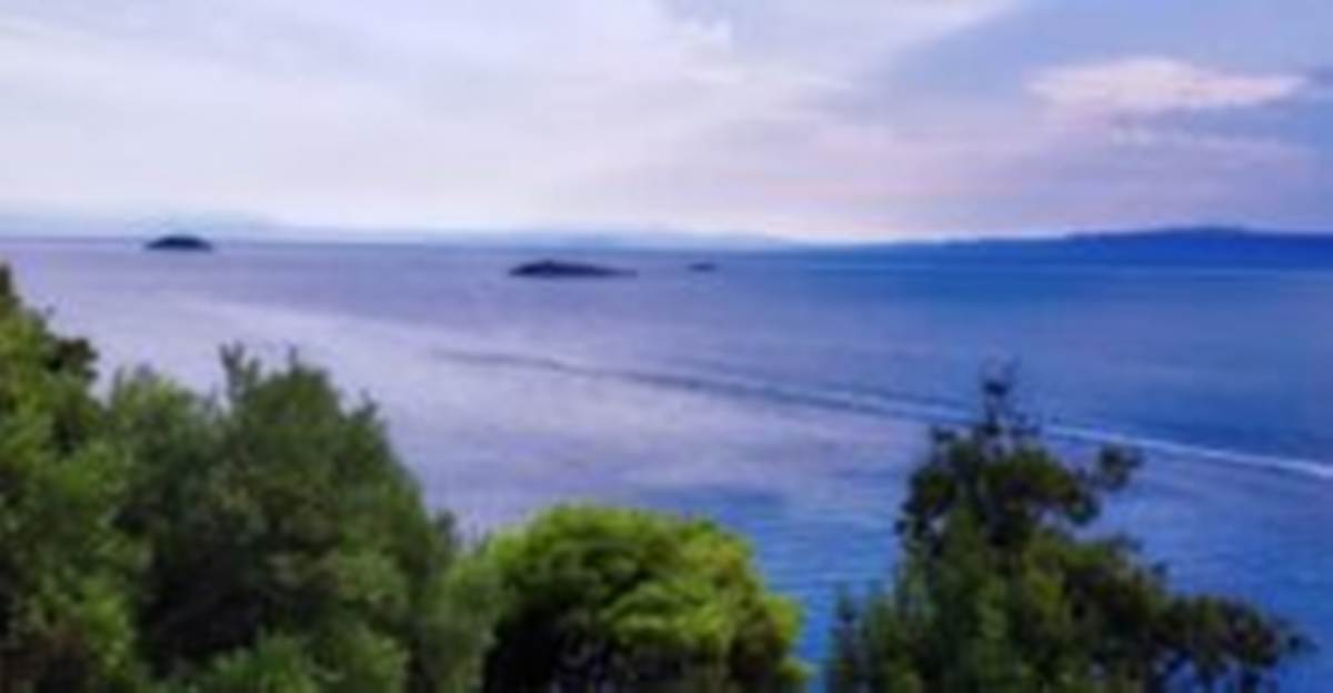 Σκόπελος Κλίμα . Πώληση οικοπέδου 4.200 Μ2.