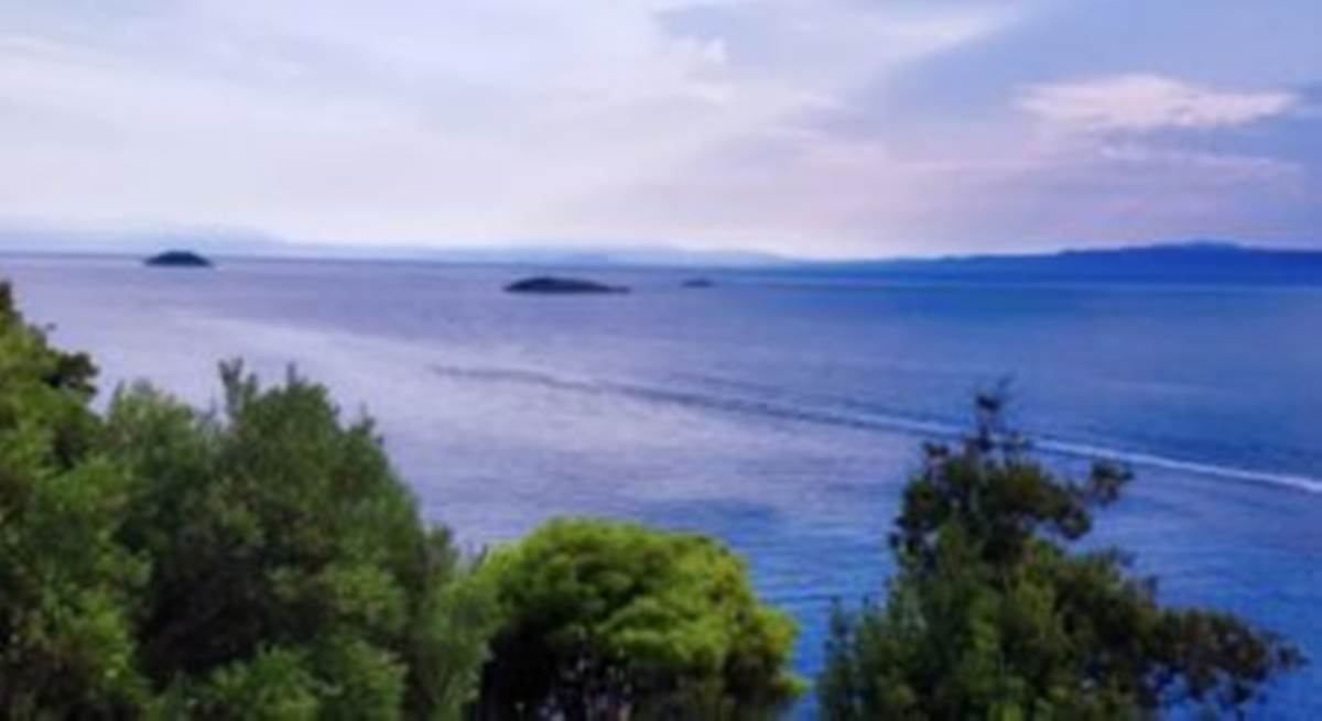 Σκόπελος Κλίμα . Πώληση οικοπέδου 4.200 Μ2.