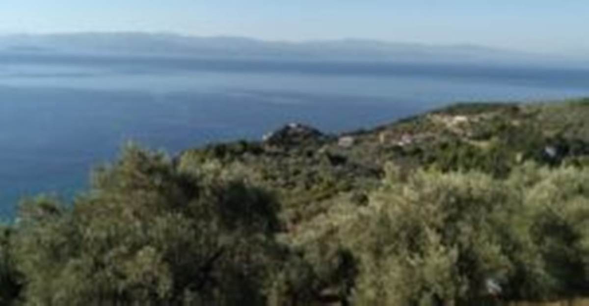 Πλατανιά Πηλίου. Πώληση Αγροτεμαχίου 65.000 Μ2.