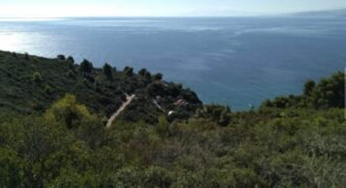 Πλατανιά Πηλίου. Πώληση Αγροτεμαχίου 65.000 Μ2.