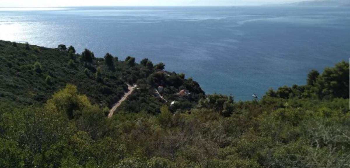 Πλατανιά Πηλίου. Πώληση Αγροτεμαχίου 65.000 Μ2.