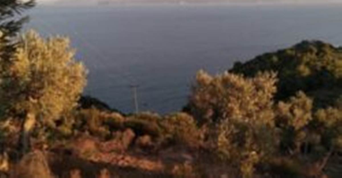 Πήλιο Καστρί. Πώληση Αγροτεμάχιου 33.000 Μ2.