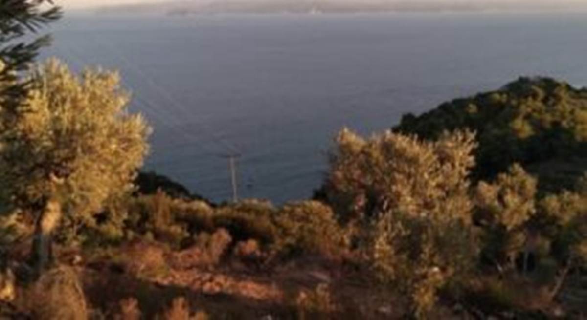 Πήλιο Καστρί. Πώληση Αγροτεμάχιου 33.000 Μ2.