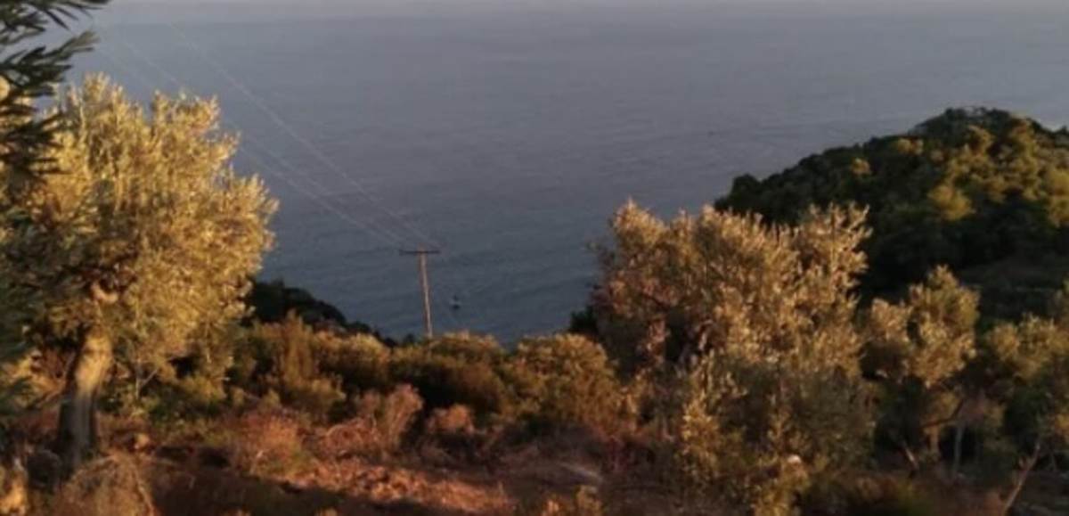 Πήλιο Καστρί. Πώληση Αγροτεμάχιου 33.000 Μ2.