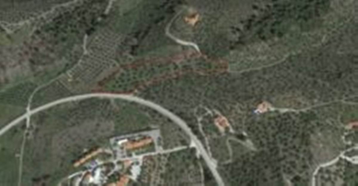 Λιμάνι Καρρά. Χαλκιδική. Πώληση αγροτεμαχίου 10.000 Μ2.