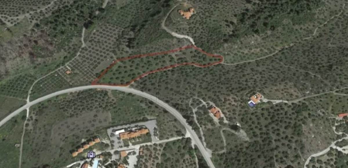 Λιμάνι Καρρά. Χαλκιδική. Πώληση αγροτεμαχίου 10.000 Μ2.