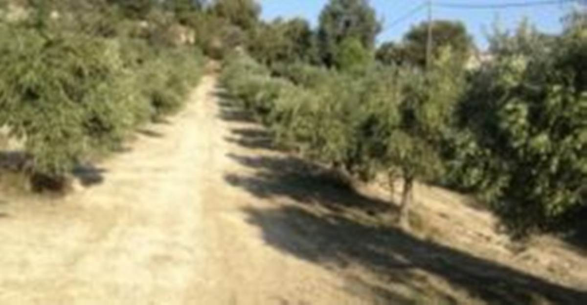 Ηράκλειο. Πώληση Οικοπέδου 4.800 Μ2.