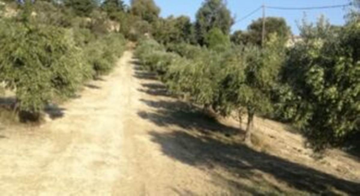 Ηράκλειο. Πώληση Οικοπέδου 4.800 Μ2.