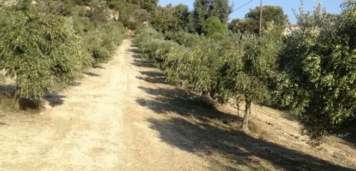 Ηράκλειο. Πώληση Οικοπέδου 4.800 Μ2.