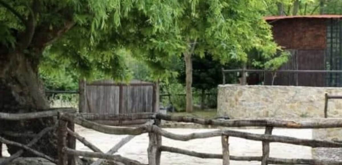 Ν. Επίδαυρος Αργολίδας. Πώληση Νερόμυλου 200 Μ2 σε Οικόπεδο 6.500 Μ2.