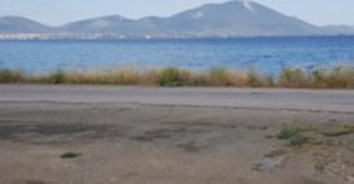 Ν. Αρτάκη Εύβοια. Πώληση Οικοπέδου 1.980 Μ2.