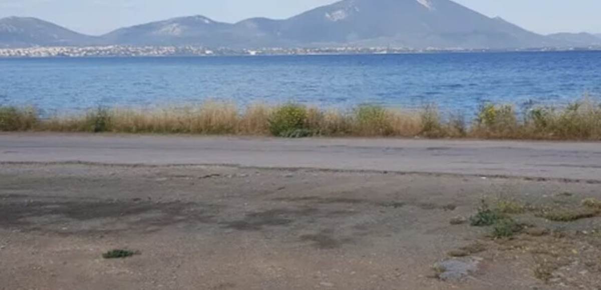 Ν. Αρτάκη Εύβοια. Πώληση Οικοπέδου 1.980 Μ2.