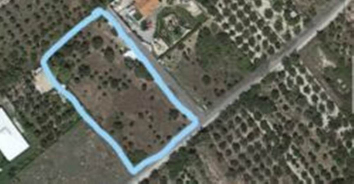 Νεράντζα Κορινθίας. Πώληση οικοπέδου 3.107 Μ2.