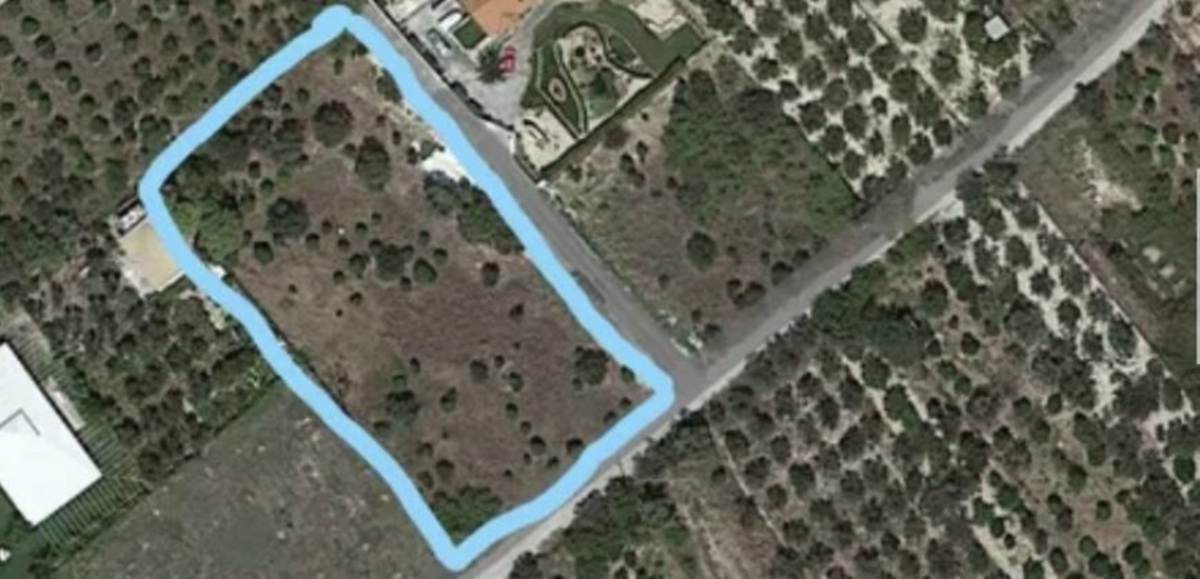 Νεράντζα Κορινθίας. Πώληση οικοπέδου 3.107 Μ2.