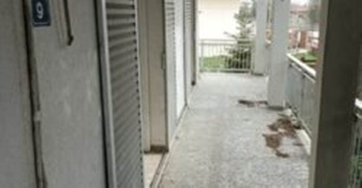 Φέρες. Πώληση Μονοκατοικίας 97 Μ2.