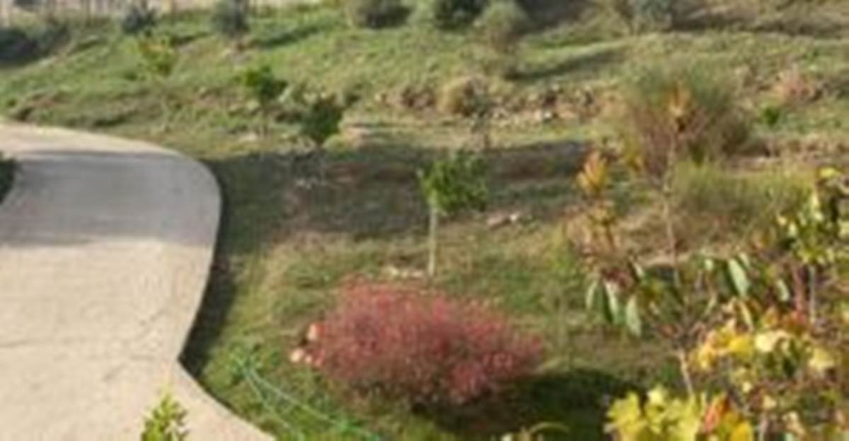 Πάτρα. Πώληση Μονοκατοικίας 345 Μ2.