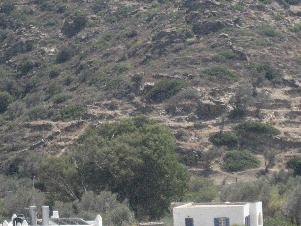 Μυλοπότας Ίου. Πώληση αγροτεμαχίου 19.608 Μ2.