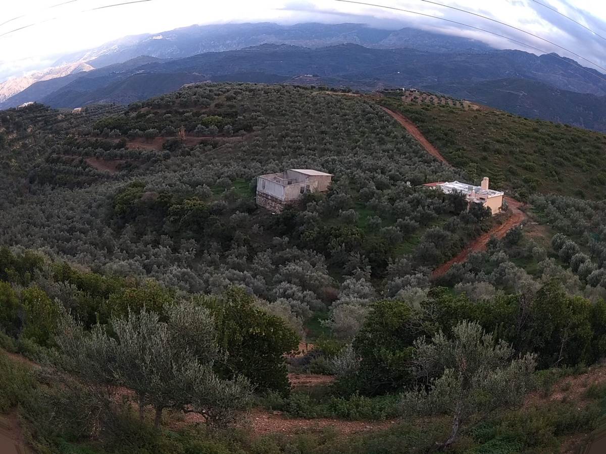 Νέα Ρούματα, Πλατανιά, Χανίων. Πώληση αγροτεμαχίου 120.000 Μ2.