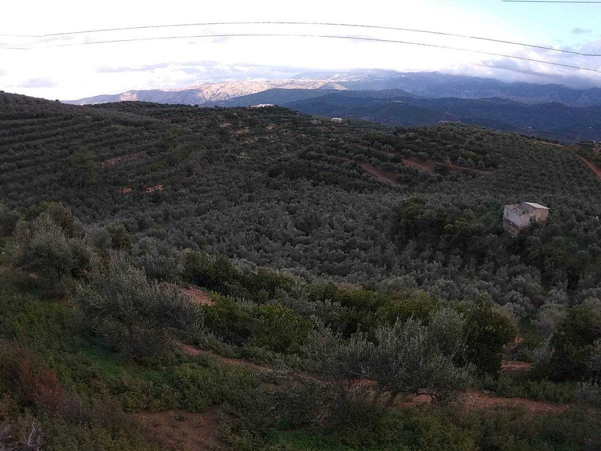 Νέα Ρούματα, Πλατανιά, Χανίων. Πώληση αγροτεμαχίου 120.000 Μ2.