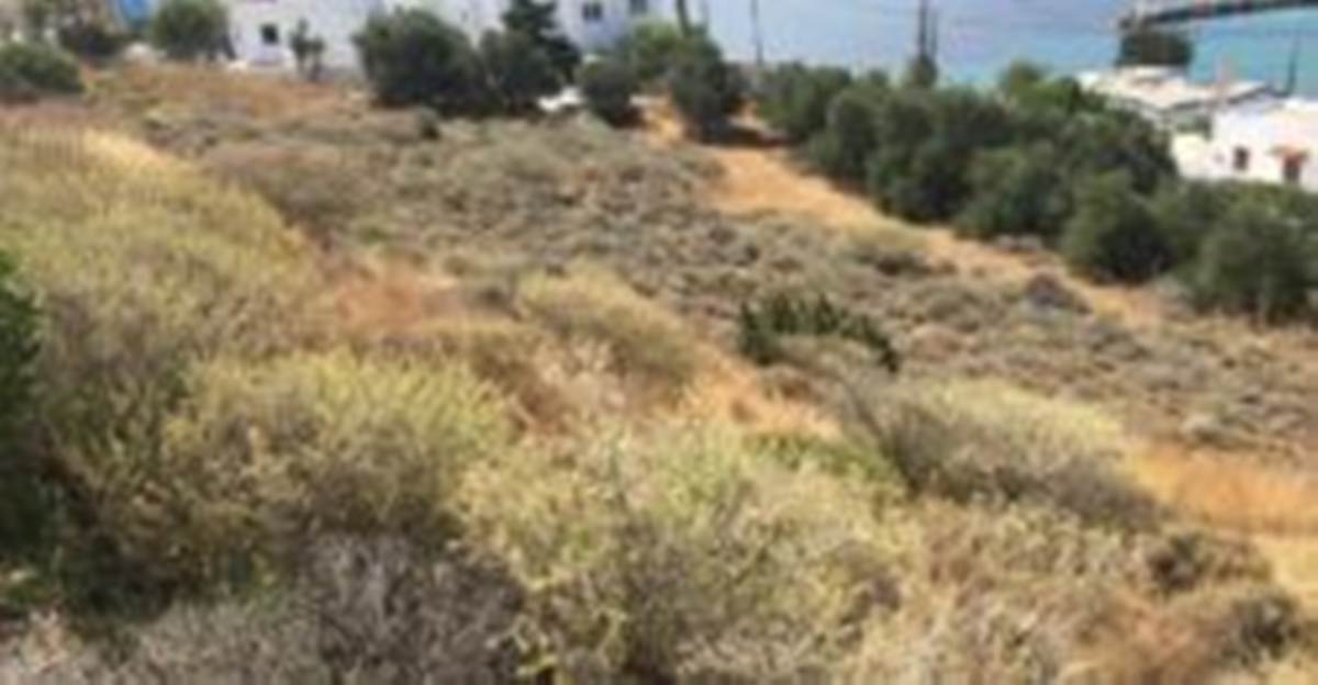 Σύρος. Πώληση Παραθαλάσσιου Οικοπέδου 1396 Μ2.