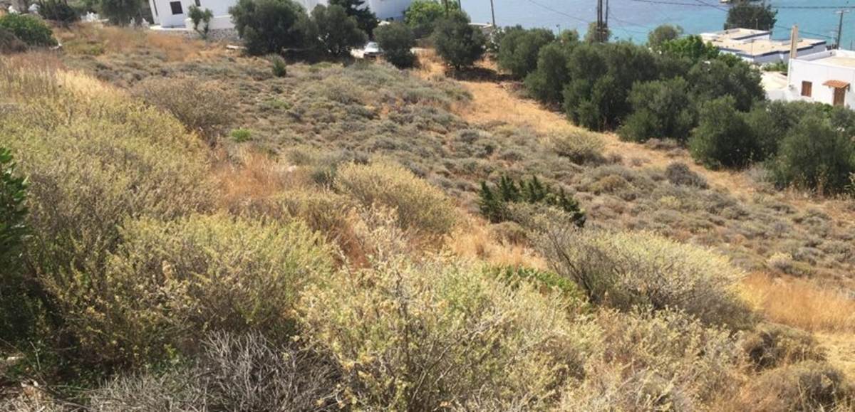 Σύρος. Πώληση Παραθαλάσσιου Οικοπέδου 1396 Μ2.