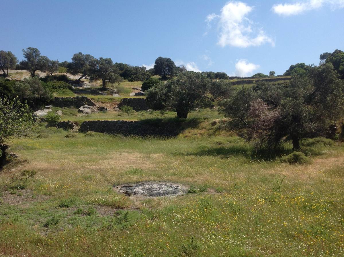 Νιμποριό, Κάρυστος Εύβοιας. Πώληση αγροτεμαχίου 20.000 Μ2.