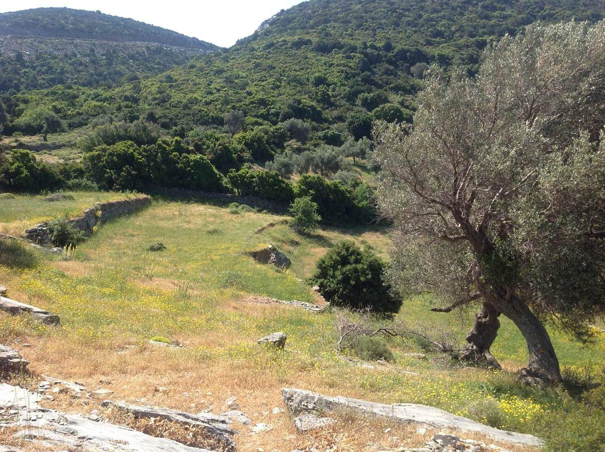 Νιμποριό, Κάρυστος Εύβοιας. Πώληση αγροτεμαχίου 20.000 Μ2.
