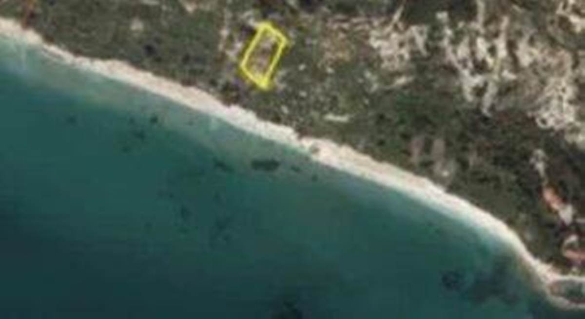 Κεφαλονιά. Πώληση 2 αγροτεμαχίων.