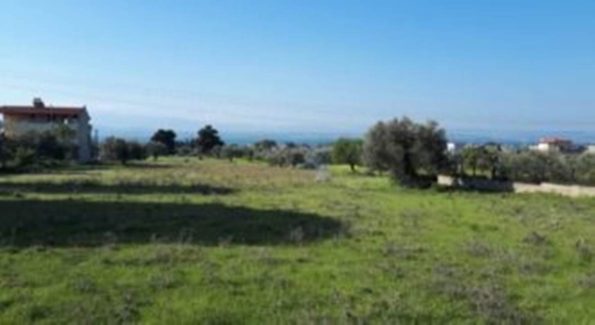 Ερέτρια. Πώληση Οικοπέδου 20.000 Μ2.