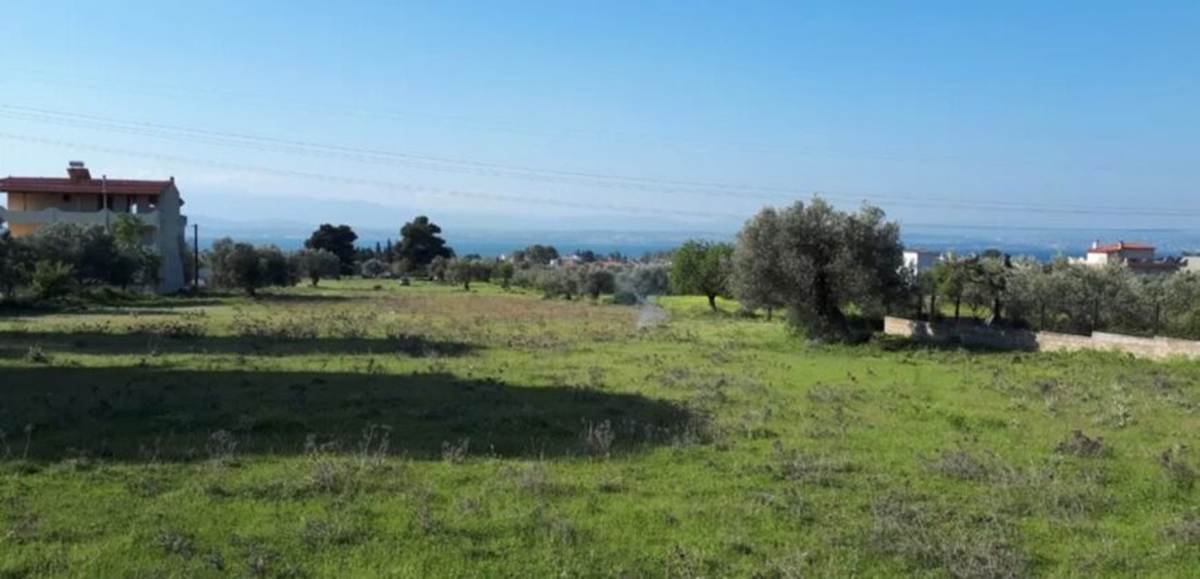Ερέτρια. Πώληση Οικοπέδου 20.000 Μ2.