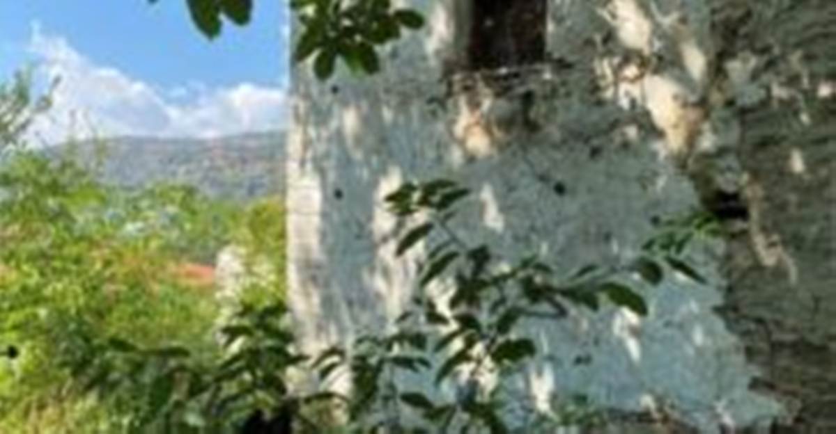 Άνω Βόλος Πήλιο. Πώληση οικοπέδου 543 Μ2.
