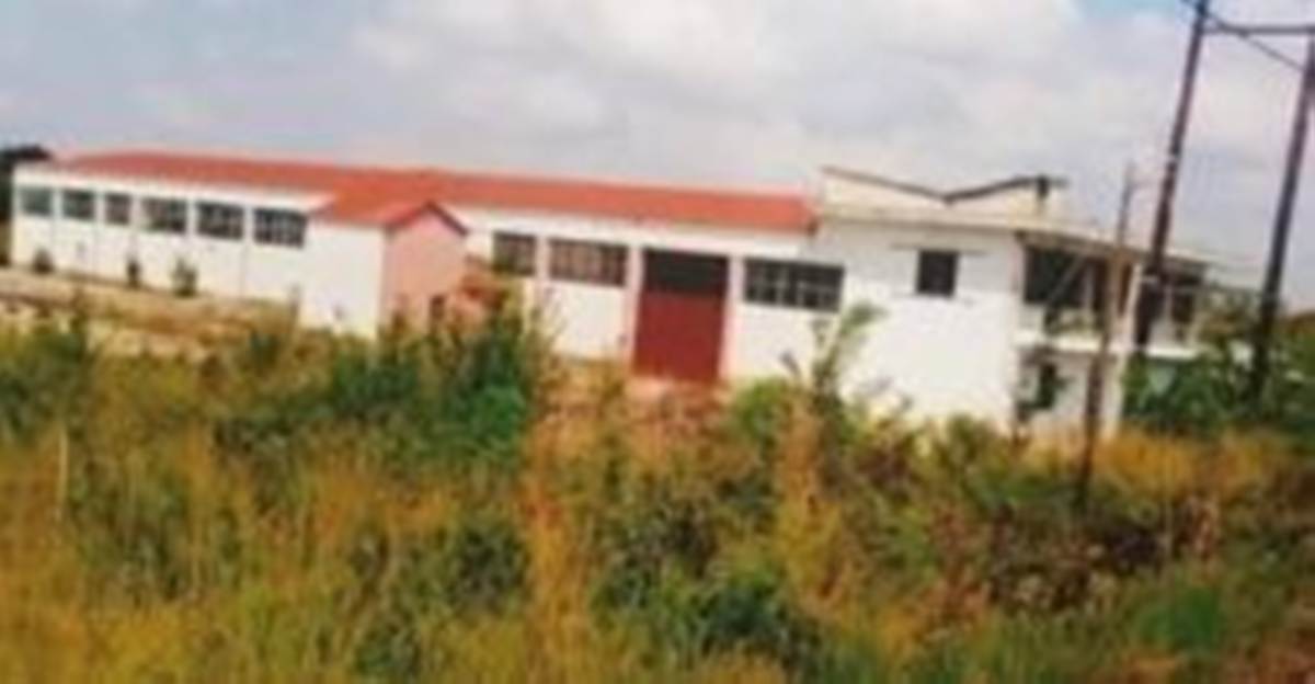 Καρδίτσα. Πώληση Επαγγελματικού Κτηρίου 1.000 Μ2.